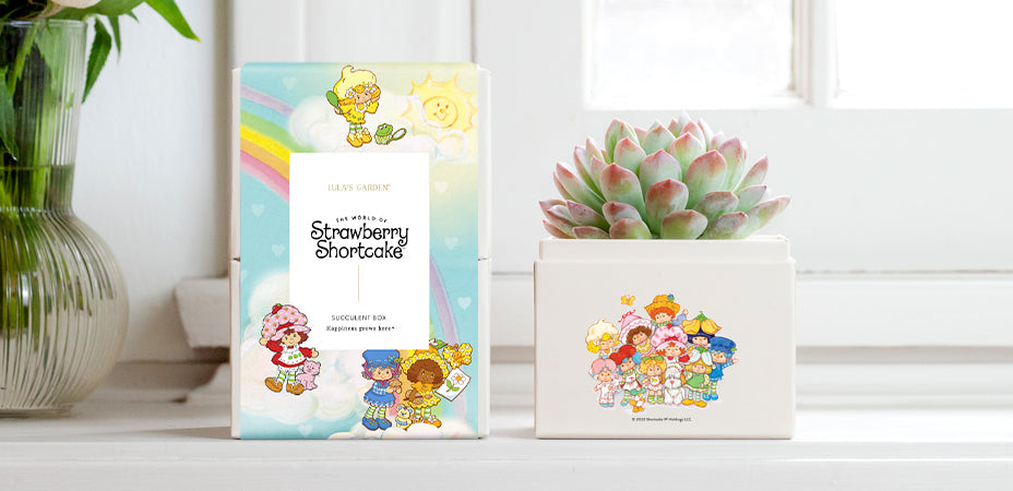 Lula's Garden and WildBrain Partner to Create Limited-Edition Strawberry Shortcake Gift Boxes