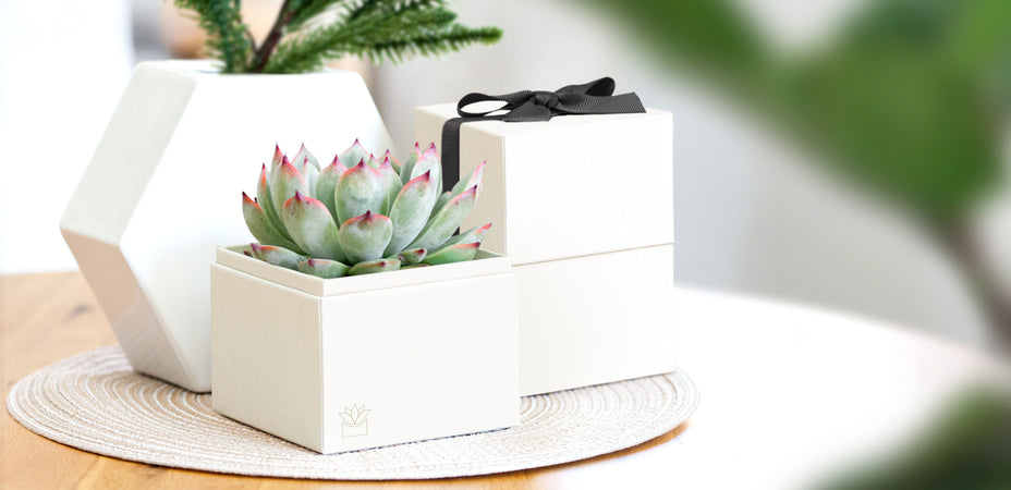 Why Gifting Is So Important In Business