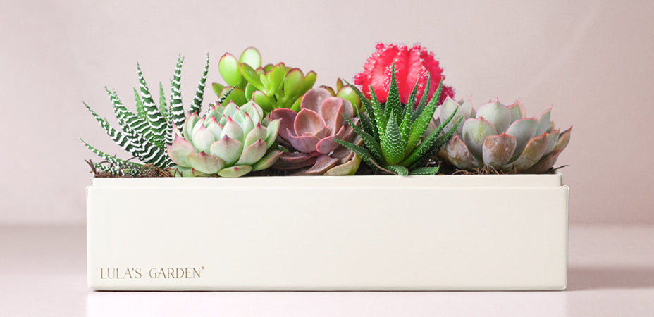 The Best Valentine's Day Gift Ideas