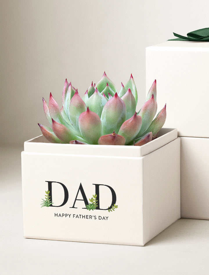 Father's Day Bliss Garden