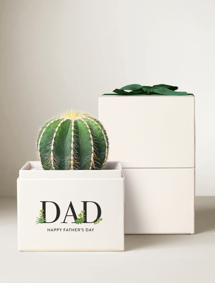 Father's Day Cacti Garden