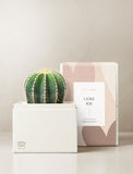 Cacti Garden