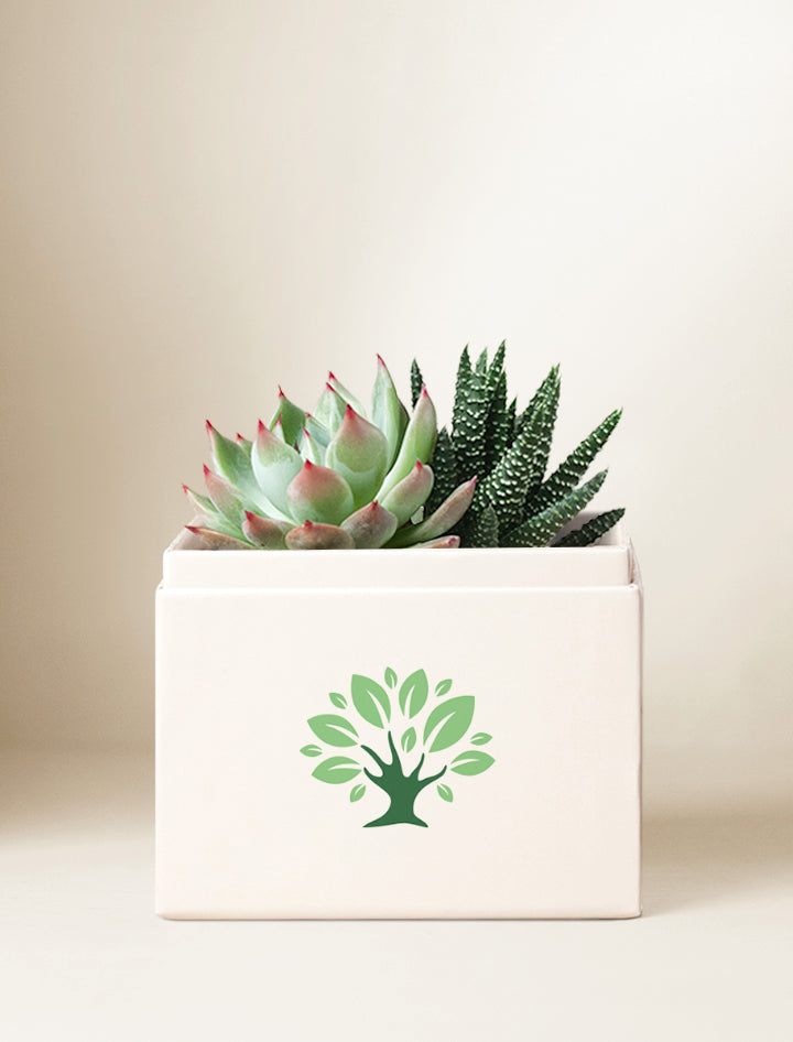 Custom Design Glow Garden