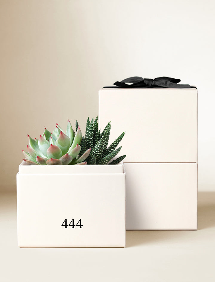 Custom Text Glow Garden