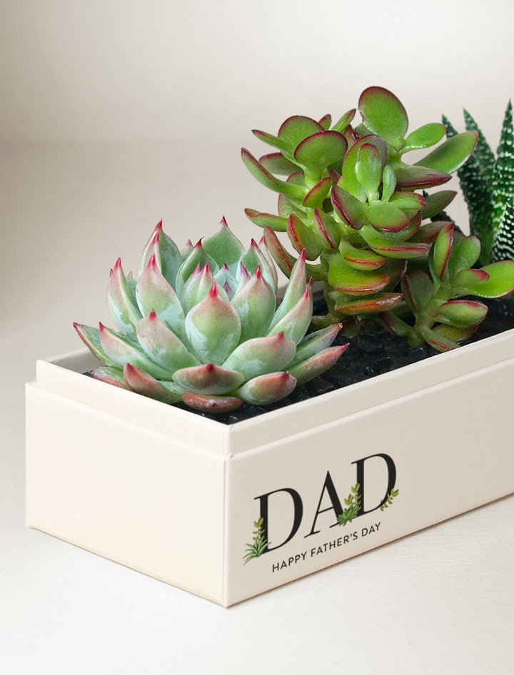 Father's Day Jewel Garden