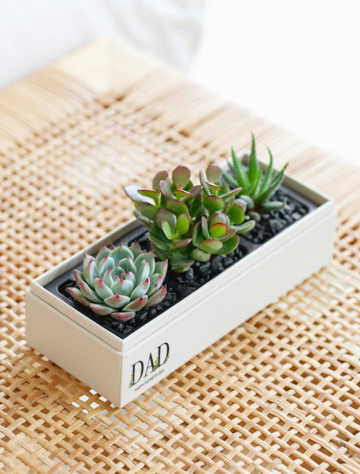 Father's Day Jewel Garden