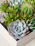 Hanukkah Lush Garden