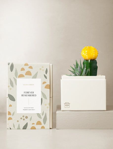Succulent Gift Plant Delivery | Forever Remembered Ray Garden by