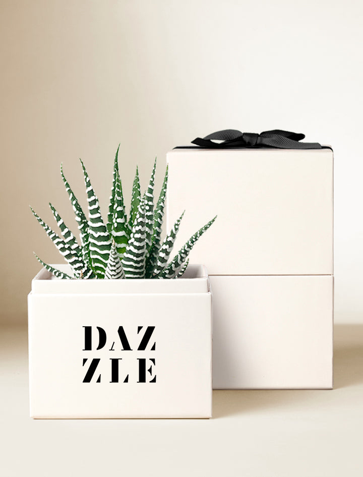 Custom Design Petite Zebra Garden