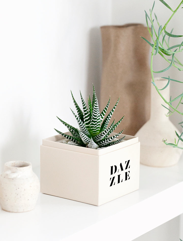 Custom Design Petite Zebra Garden