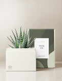 Thank You Petite Zebra Garden