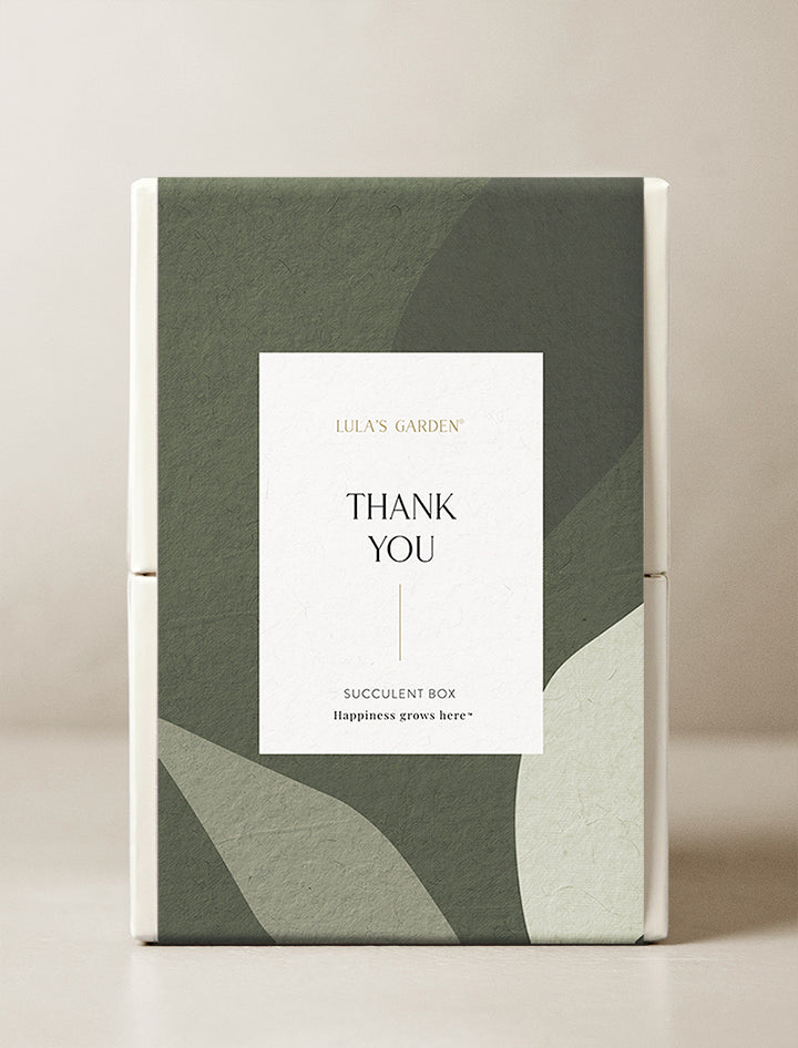 Thank You Petite Zebra Garden