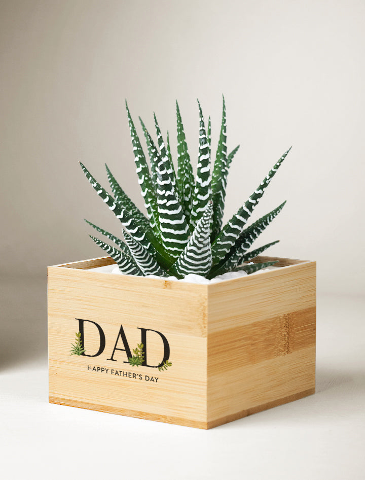 Father's Day Bamboo Petite Zebra Garden