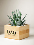 Father's Day Bamboo Petite Zebra Garden