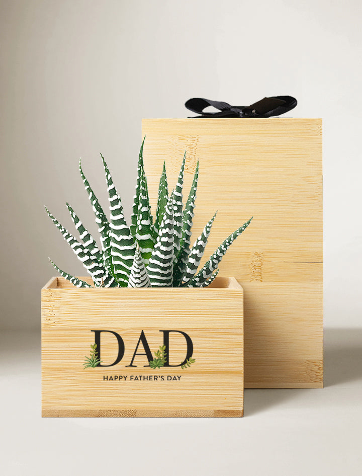 Father's Day Bamboo Petite Zebra Garden