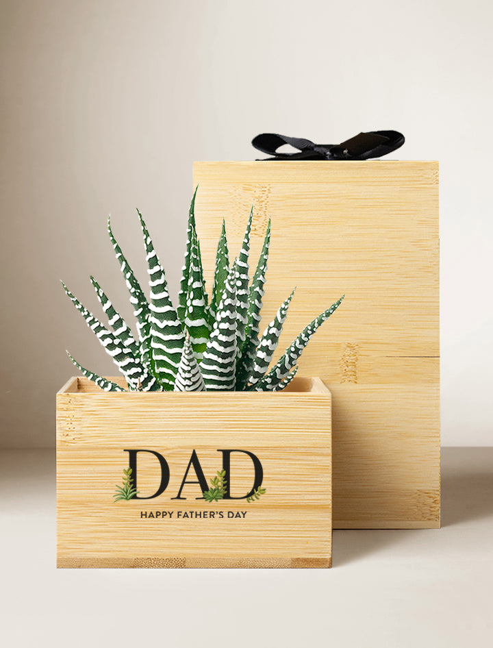 Father's Day Bamboo Gift Set
