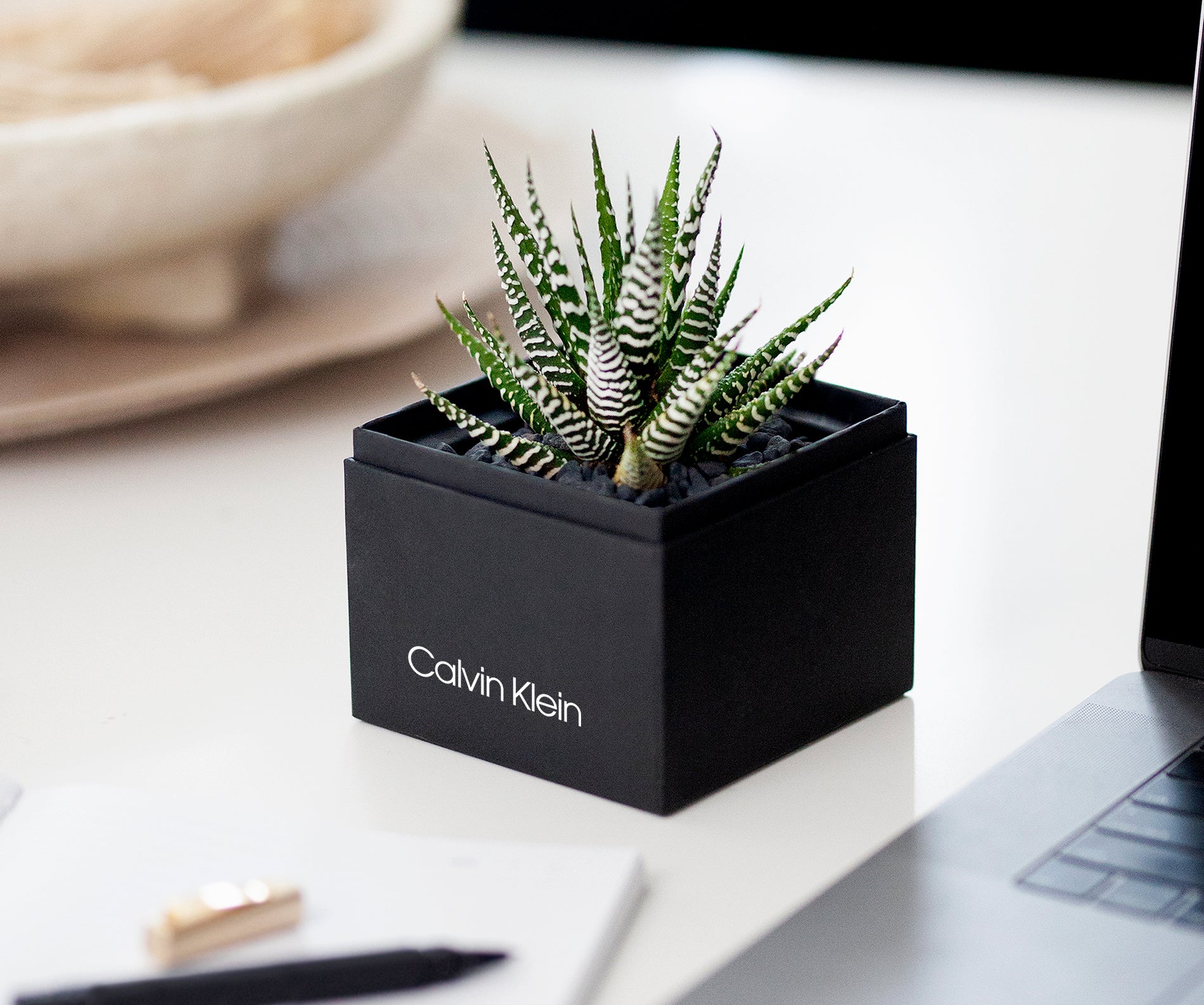 Employee Appreciation Gift Ideas - Branded Succulent Plant.