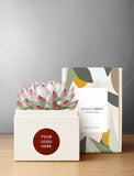 Succulent in gift box with "Your Logo Here" imprint.