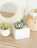 Succulents in gift box on table next to decorative objects.