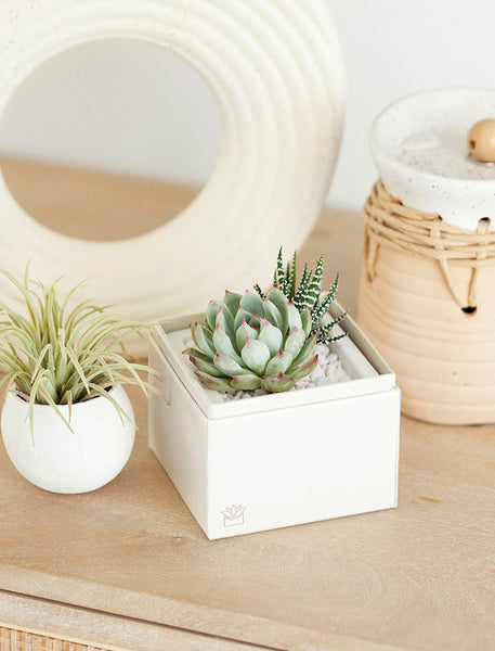 【美品】welcome to the prudential 美品 プルデンシャル ブルーブック 美品】welcome to the