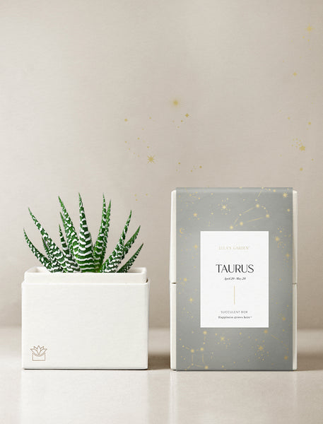 taurus succulent Astrology Gifts | Taurus Zodiac Sign Gifts