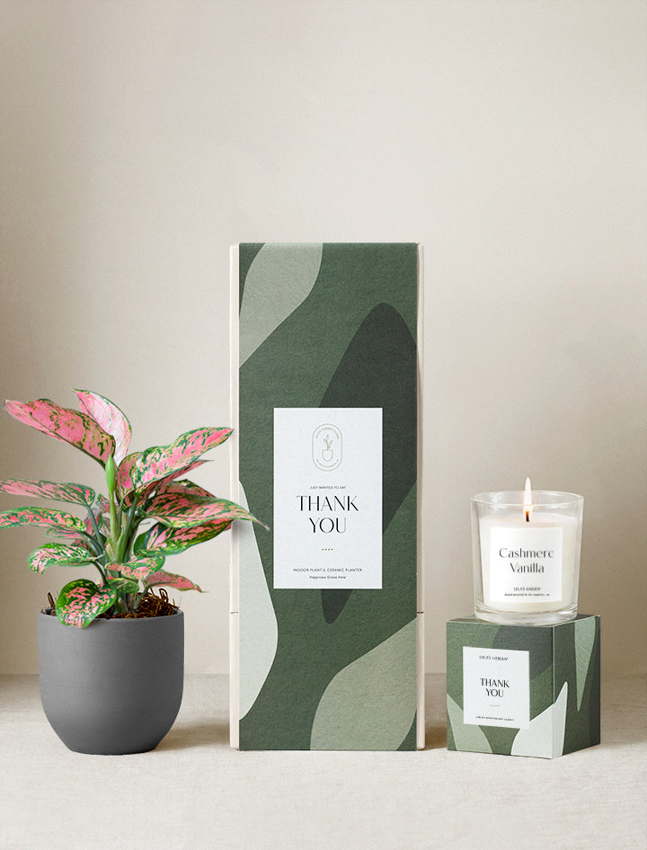 Thank You Plant Gift Set