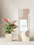 Plant in planter next to a gift box. - Image 