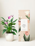 Mother's Day Purple Anthurium Plant & Mister & Candle