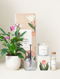 Mother's Day Purple Anthurium Plant & Mister & Candle