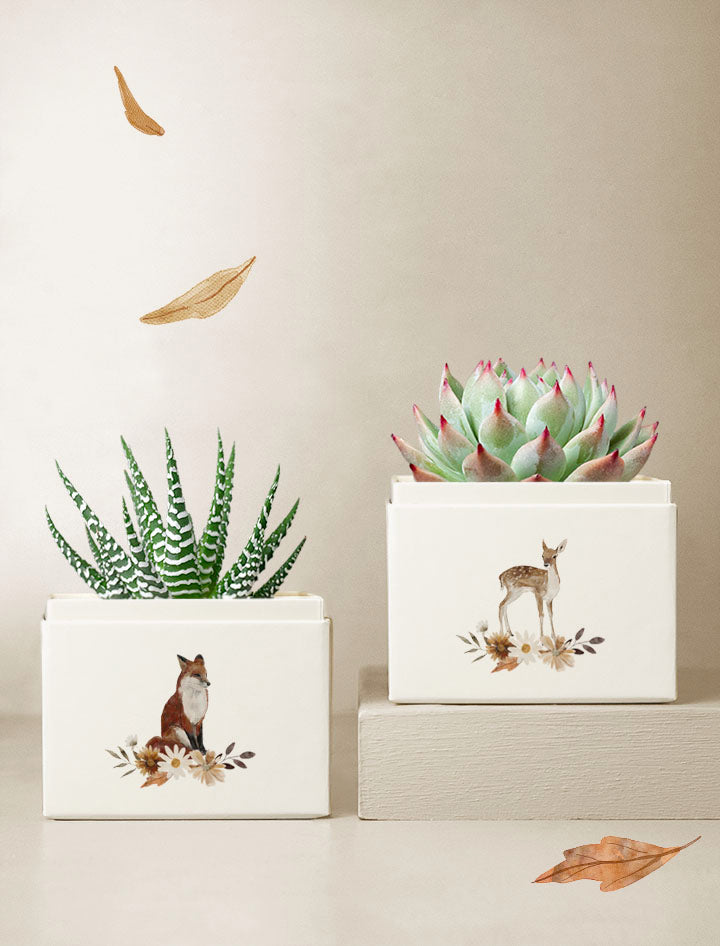 Autumn Duet Garden
