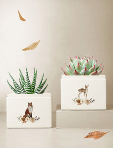 Autumn Duet Garden