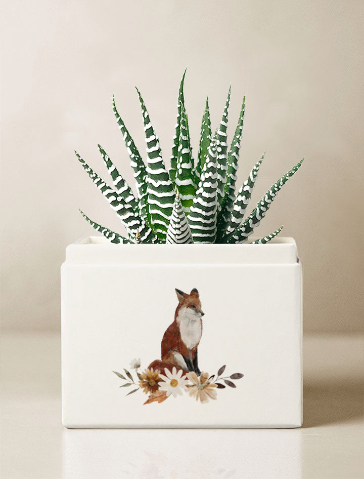 Autumn Petite Zebra Garden
