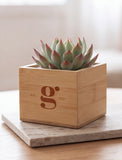 Corporate Bamboo Bliss Garden - Image 