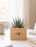 Corporate Bamboo Petite Zebra Garden - Image 
