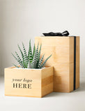 Corporate Bamboo Petite Zebra Garden - Image 