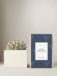 Hanukkah Bliss Garden