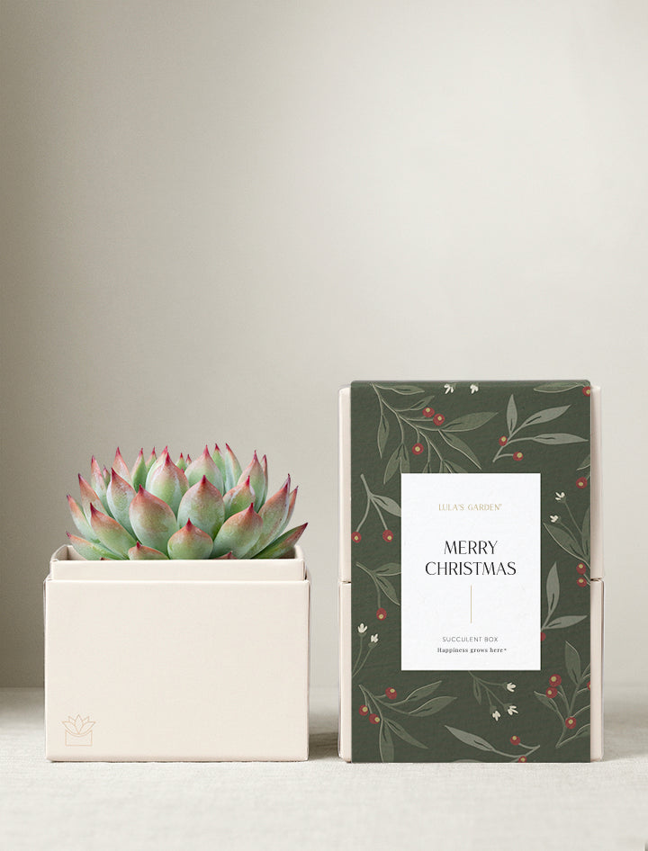 Christmas Bliss Garden
