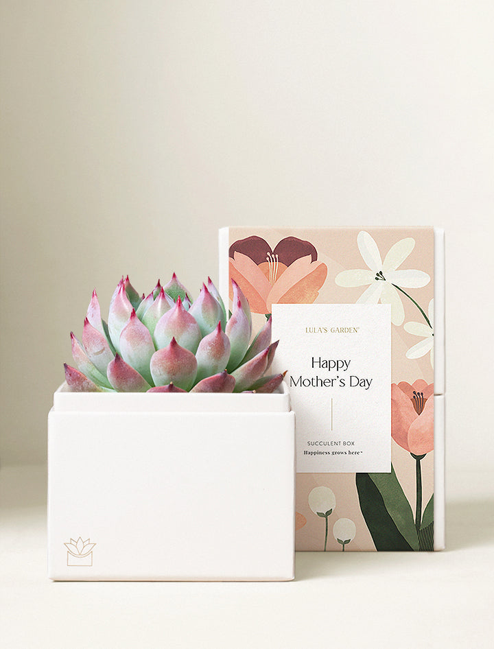 Mother's Day Bliss Garden