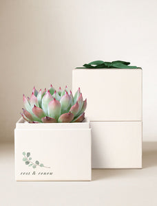 Wellness Month Bliss Garden