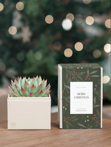 Christmas Bliss Garden