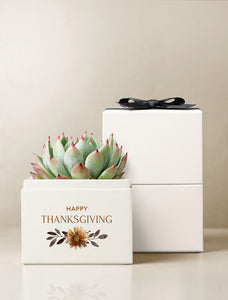 Thanksgiving Bliss Garden