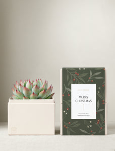 Christmas Bliss Garden & Soy Candle & Matches