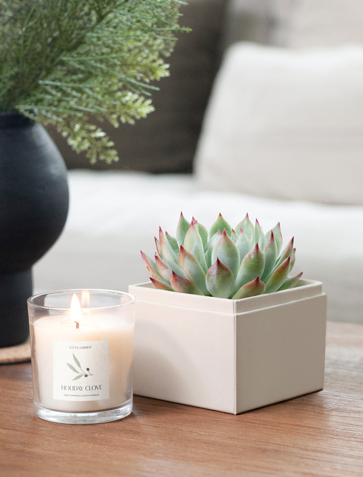 Holiday Bliss Garden & Soy Candle & Matches