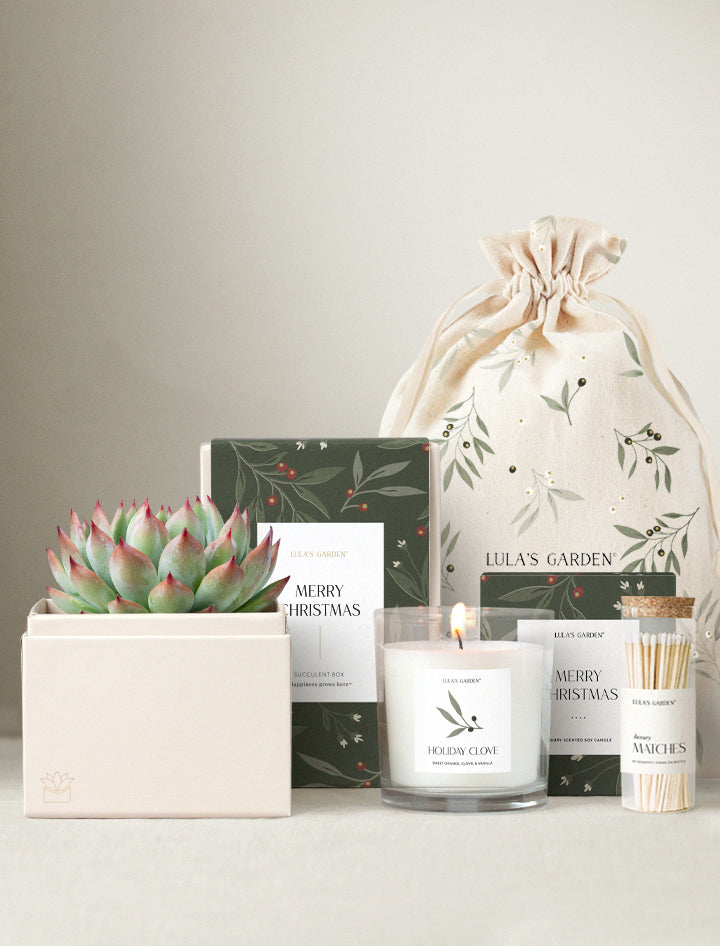 Christmas Bliss Garden & Soy Candle & Matches