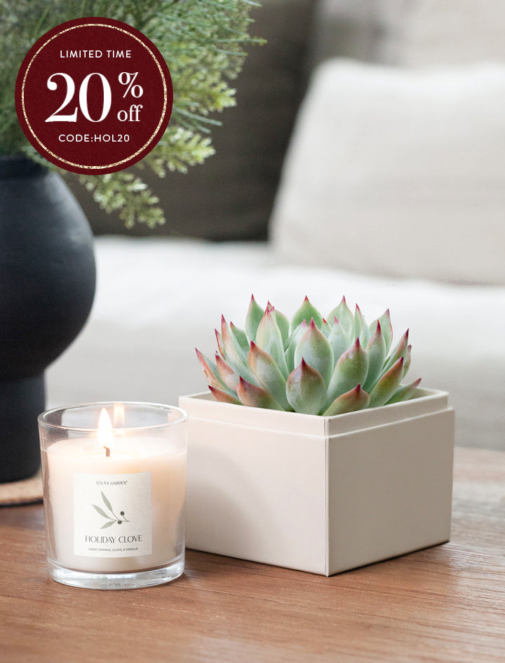 Christmas Bliss Garden & Soy Candle & Matches