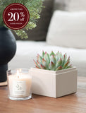 Christmas Bliss Garden & Soy Candle & Matches