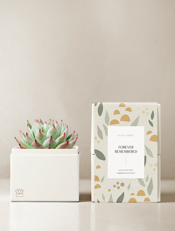 Forever Remembered Bliss Garden