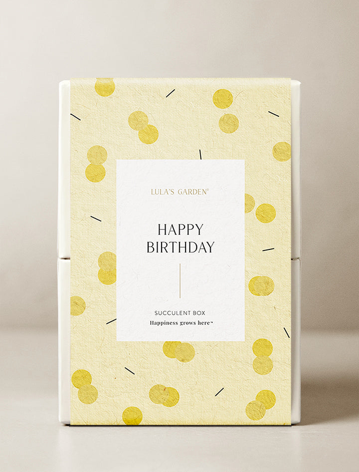 happy birthday succulents by lula's garden Succulent Gift