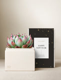 A vibrant green and pink succulent in a cream-colored gift box with a black and gold Happy New Year sleeve. - Image 