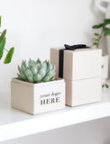 A cream-colored square gift box planter with a green succulent plant, next to a stack of two cream gift boxes tied with a black ribbon, on a white shelf. - Image 